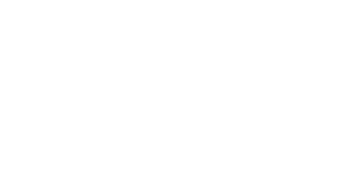 TennoCon 10 yaşına giriyor