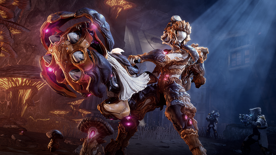 Nokko Bundle