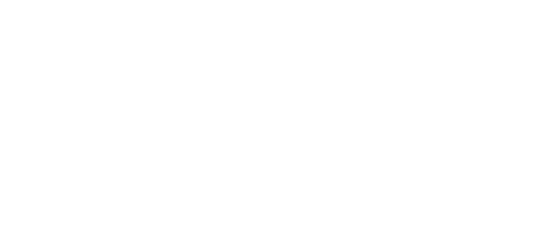 Make a Wish Logo