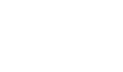 Make a Wish Logo