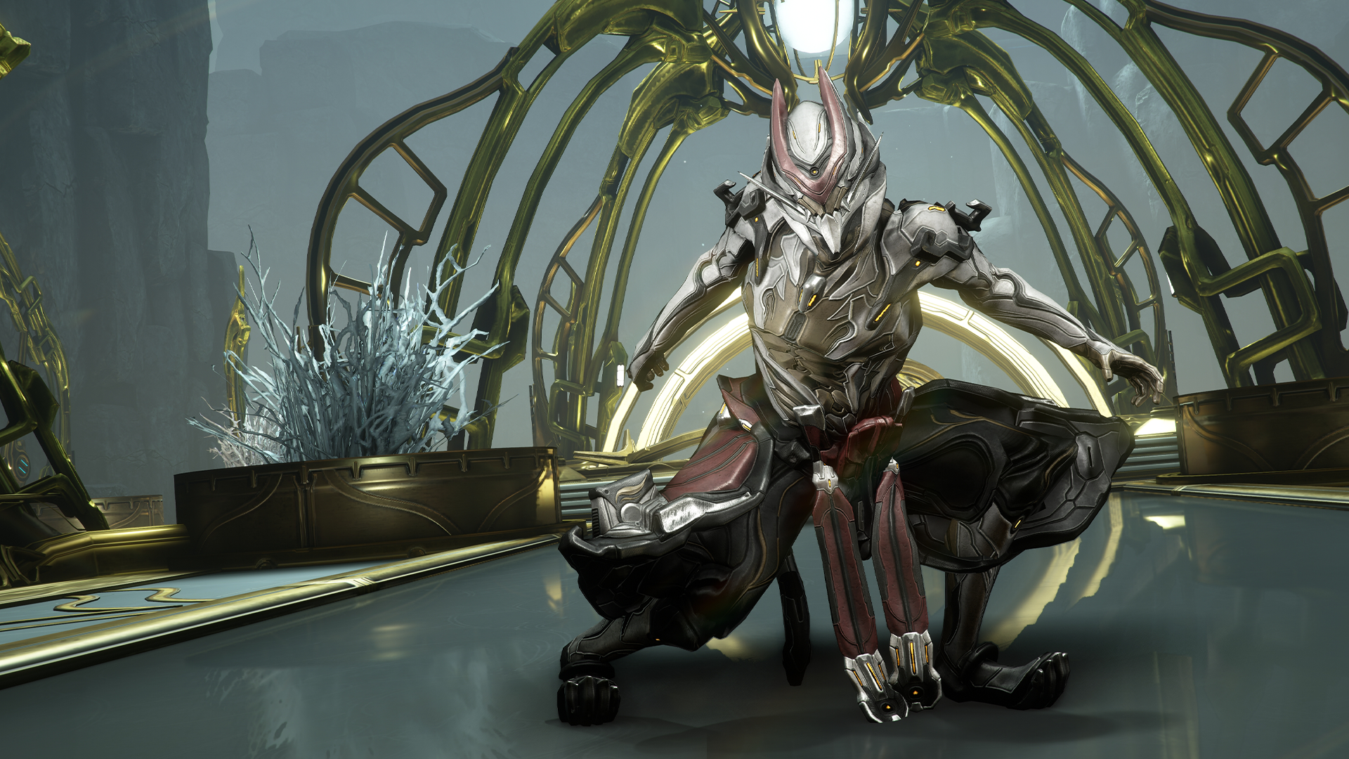  TennoGen Celebrates the Stories of Its Creators