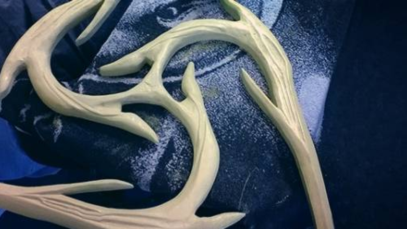 Community Spotlight: Arkyhead